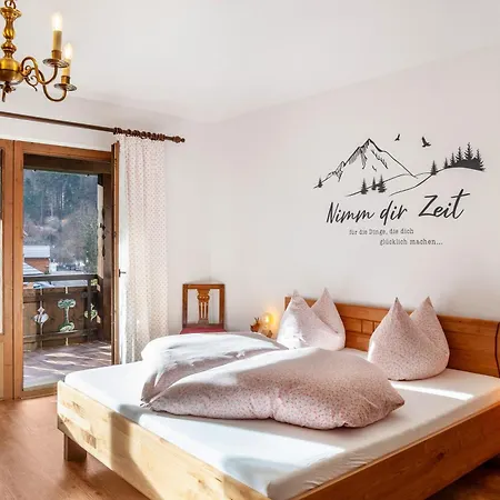 Aschaubichl - Wohnung Bergaurikel Grainau Esterno foto