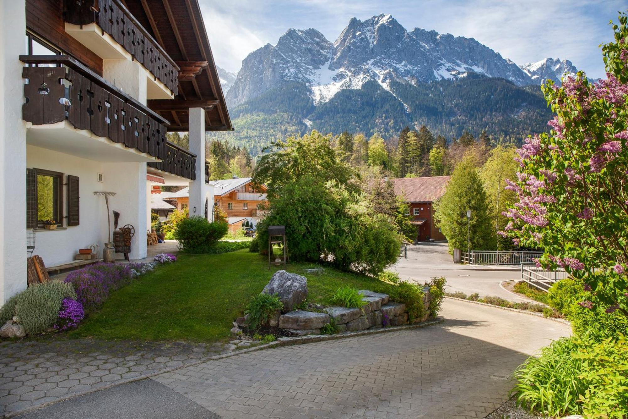 Aschaubichl - Bergaurikel